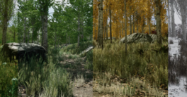 UnrealEngine Scanned Poplar Aspen Forest with Seasons Download