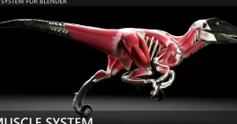 Blender 4 Update X-Muscle System v4.0.7 Crack Download