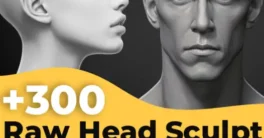 300 Raw Head Sculpt Reference (ArtStation) Free Download