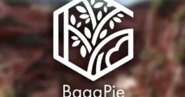 BagaPie v10.4.13 ALL Assets Cracked Blender 4.3 Download