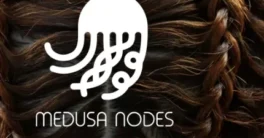 Medusa Nodes Beta v1.1.5 Cracked (Blender 4.2) Download