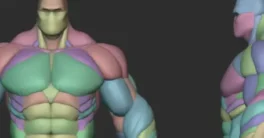 Hulky Anatomy Blockout Crack (Gumroad) Download